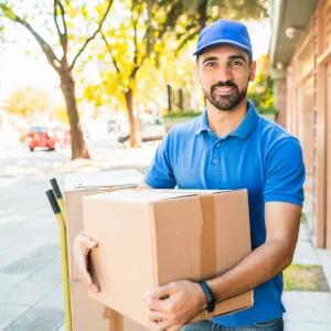 Delivery Man - parcel theft