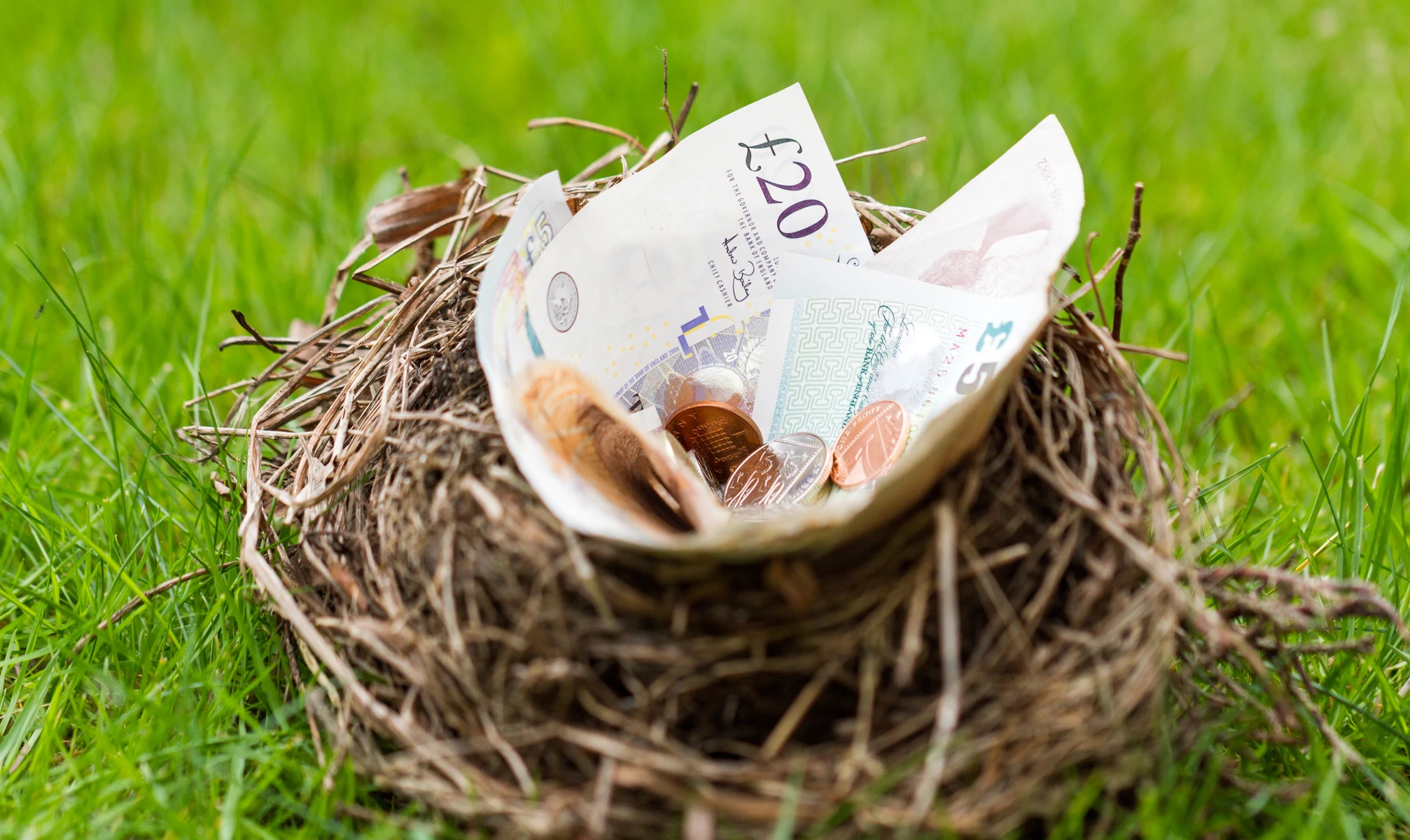 Introducing Our Customer Referral Programme - Featured Image